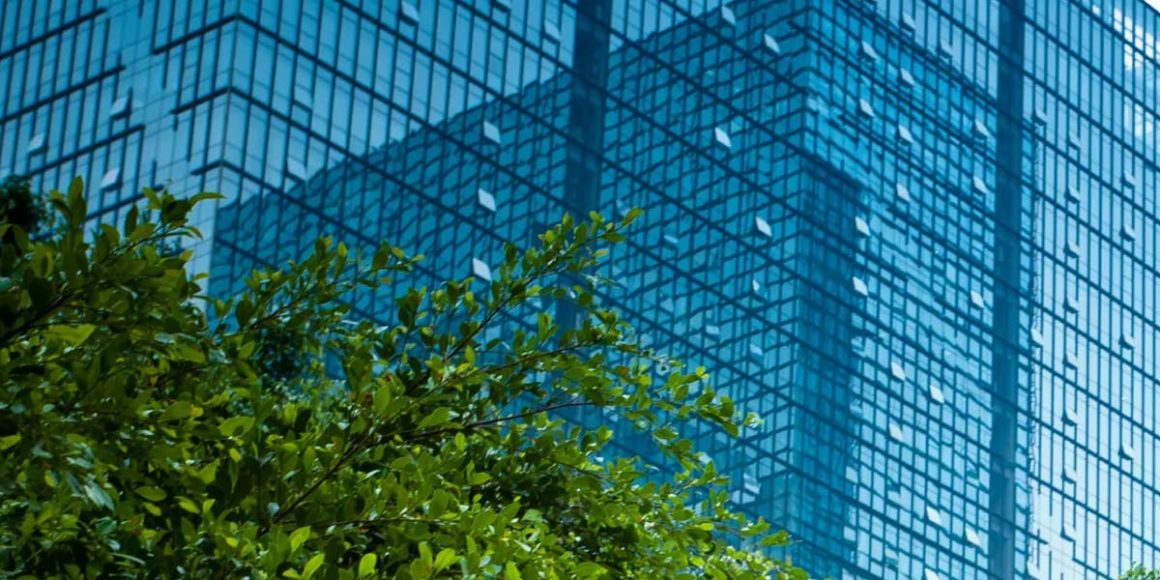 Why ESG Is the New Boardroom Imperative for Africa Why ESG Is the New Boardroom Imperative for Africa