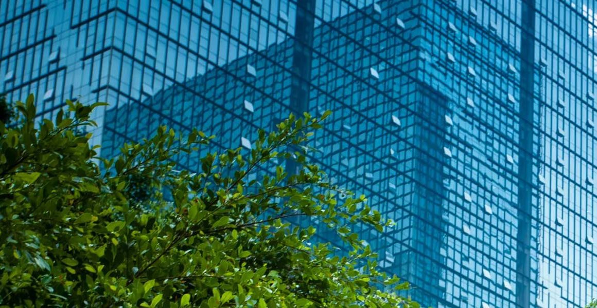 Why ESG Is the New Boardroom Imperative for Africa