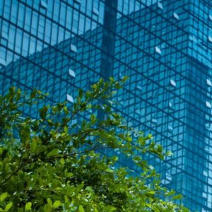 Why ESG Is the New Boardroom Imperative for Africa