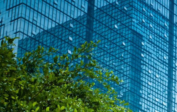 Why ESG Is the New Boardroom Imperative for Africa