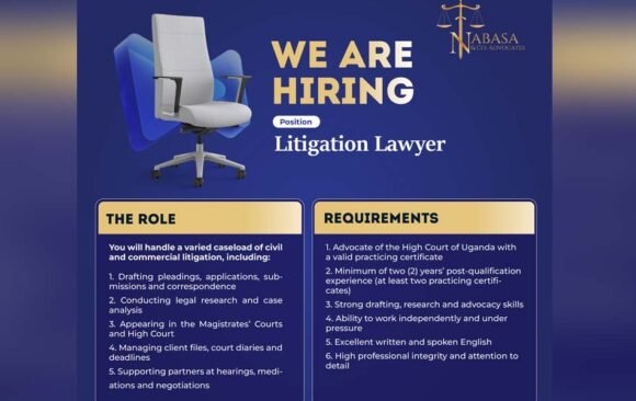 litigation lawyer nanabasa law