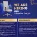 litigation lawyer nanabasa law